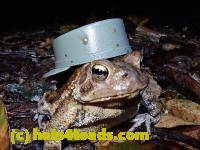 /home//u458753944/public_html/sourcegallery//McKaig Nature Center/2020-09-27/P9270698.JPG